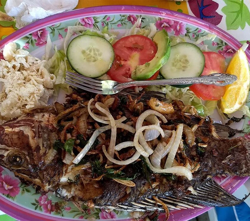Mojarras de Coatetelco